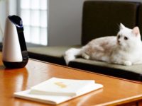 Sony сделала свой искусственный интеллект открытым для разработчиков