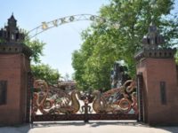 Как в Лукоморье проходит праздник к Международному дню защиты детей
